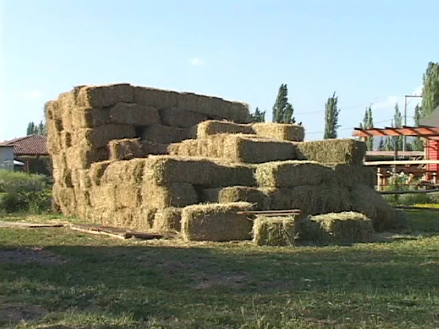 Fardos pasto