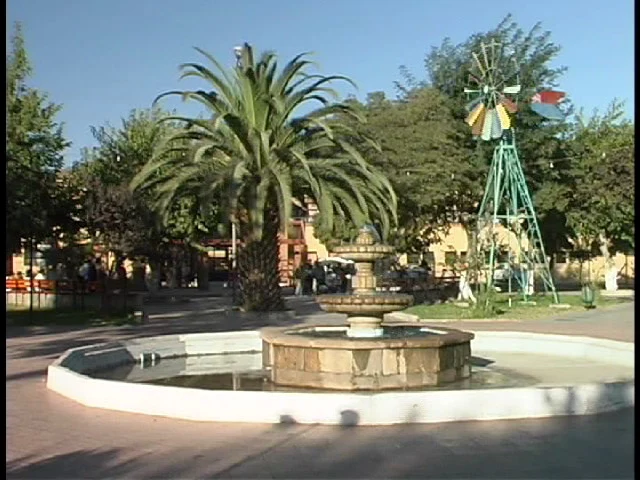 Punitaqui