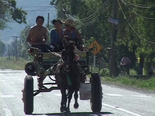 Mallarauco