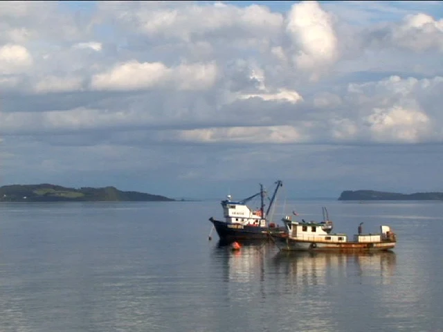 Barcos anclados