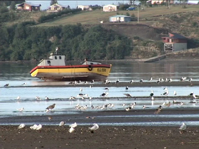 Bote en el bajo