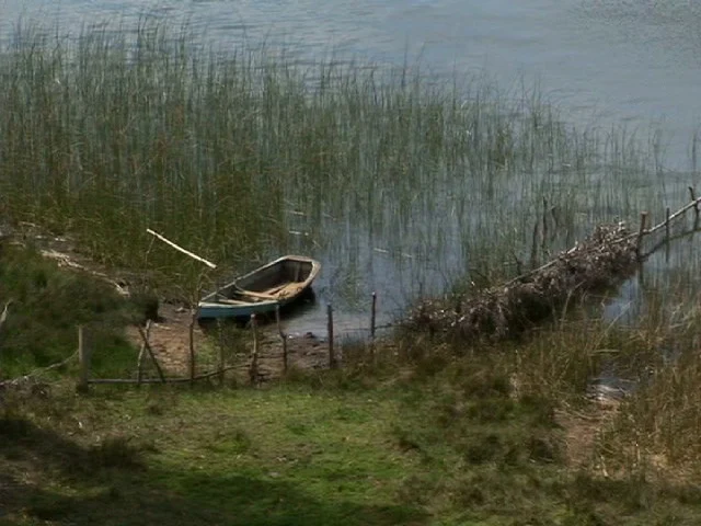 Bote en la orilla