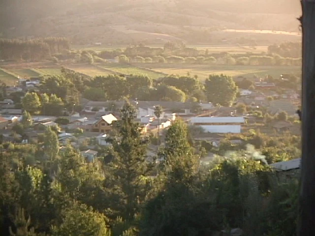 Licanten