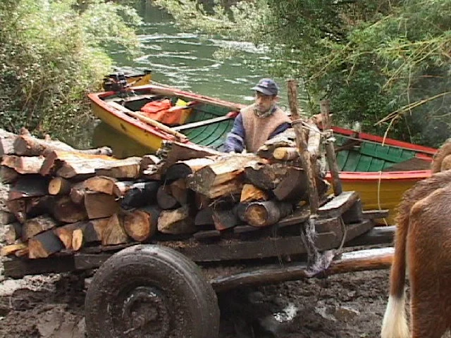 Cragando madera a bote