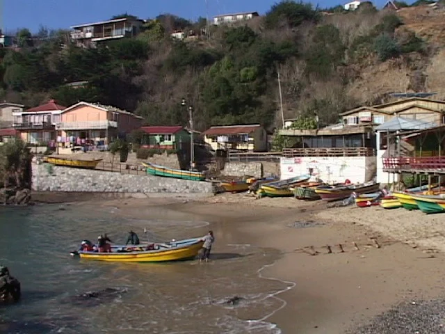 Caleta Quintay, temporada 2007