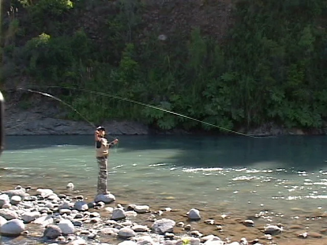 Pesca