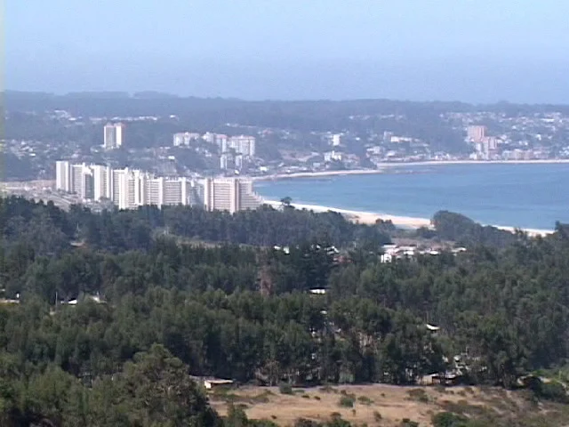 Algarrobo