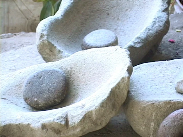 Tagua Tagua