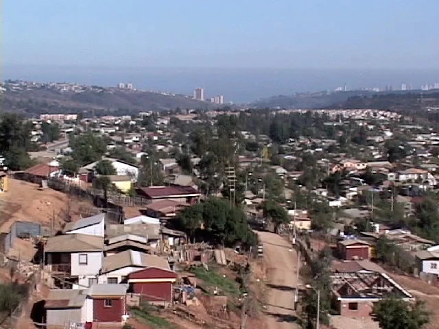 Cerros de Renaca 