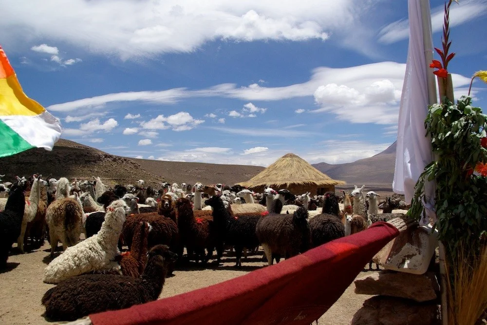 Aymara · Fotografía 19