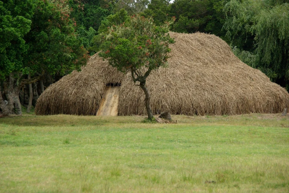 Fotografía del documental Mapuche