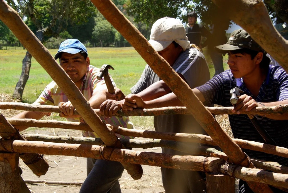 Mapuche · Fotografía 7