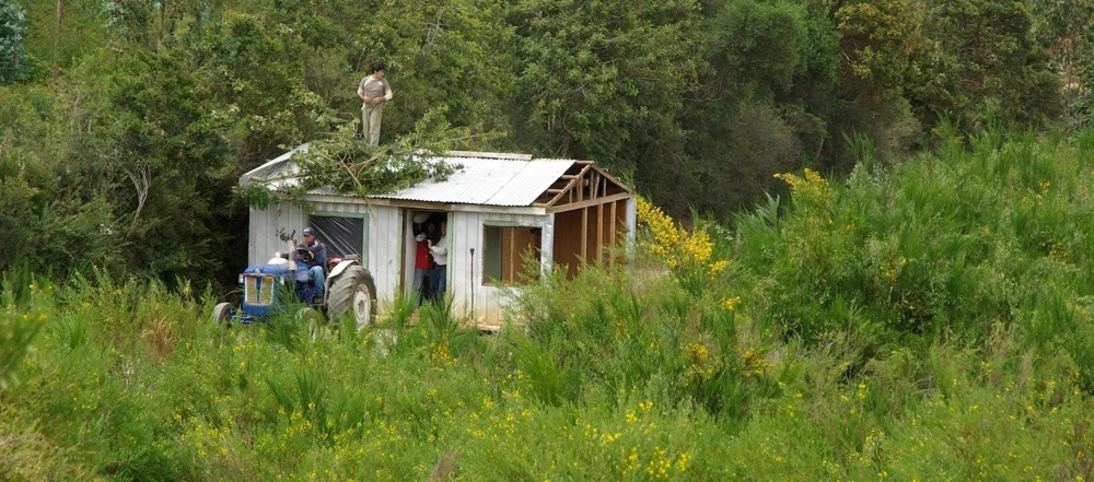 Mapuche · Fotografía 9