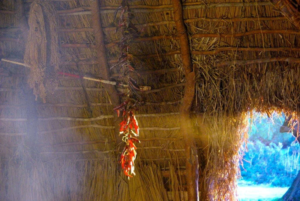 Mapuche · Fotografía 22