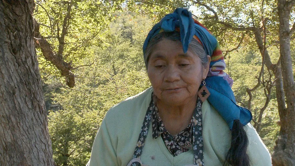 Fotografía del documental Pewenche